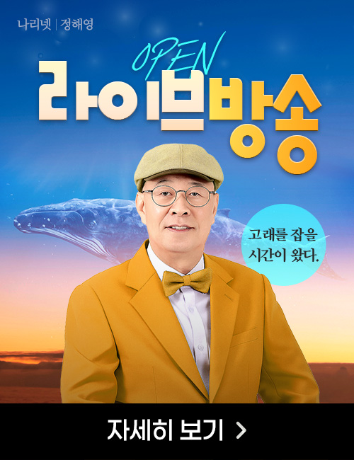 정해영 라이브방송