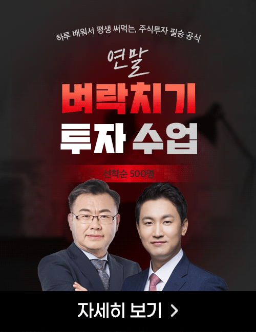 벼락치기 투자 수업
