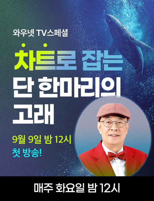 정해영 TV스페셜