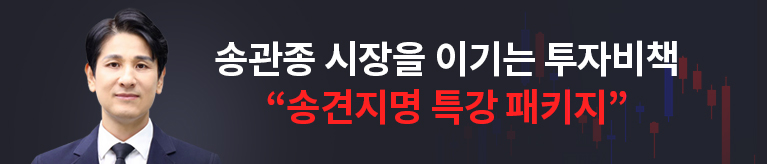 송관종 송견지명 특강 패키지