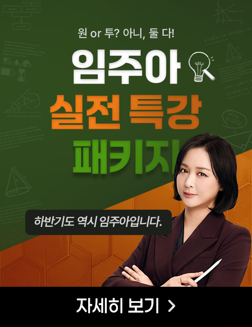 임주아 올인원 패키지