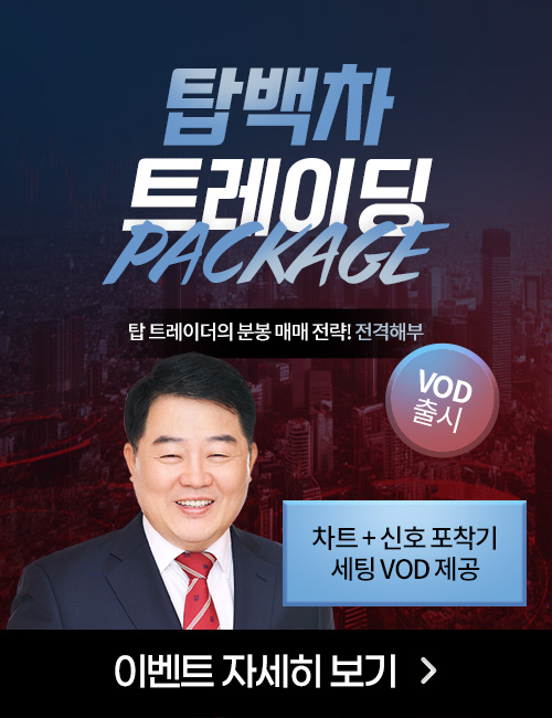 김대복 탑백차 트레이딩 VOD 패키지