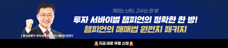 안인기 원펀치 패키지