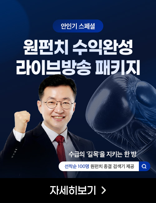안인기 원펀치 수익완성 패키지