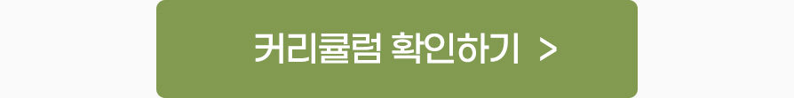 커리큘럼 확인하기