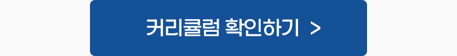 커리큘럼 확인하기