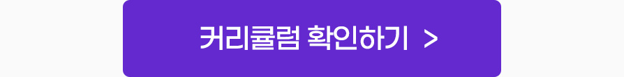커리큘럼 확인하기