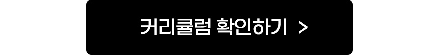커리큘럼 확인하기