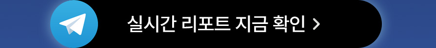 실시간 리포트 지금 확인