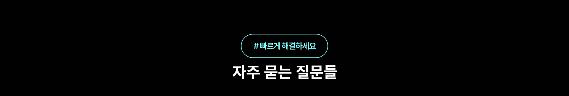 자주 묻는 질문들